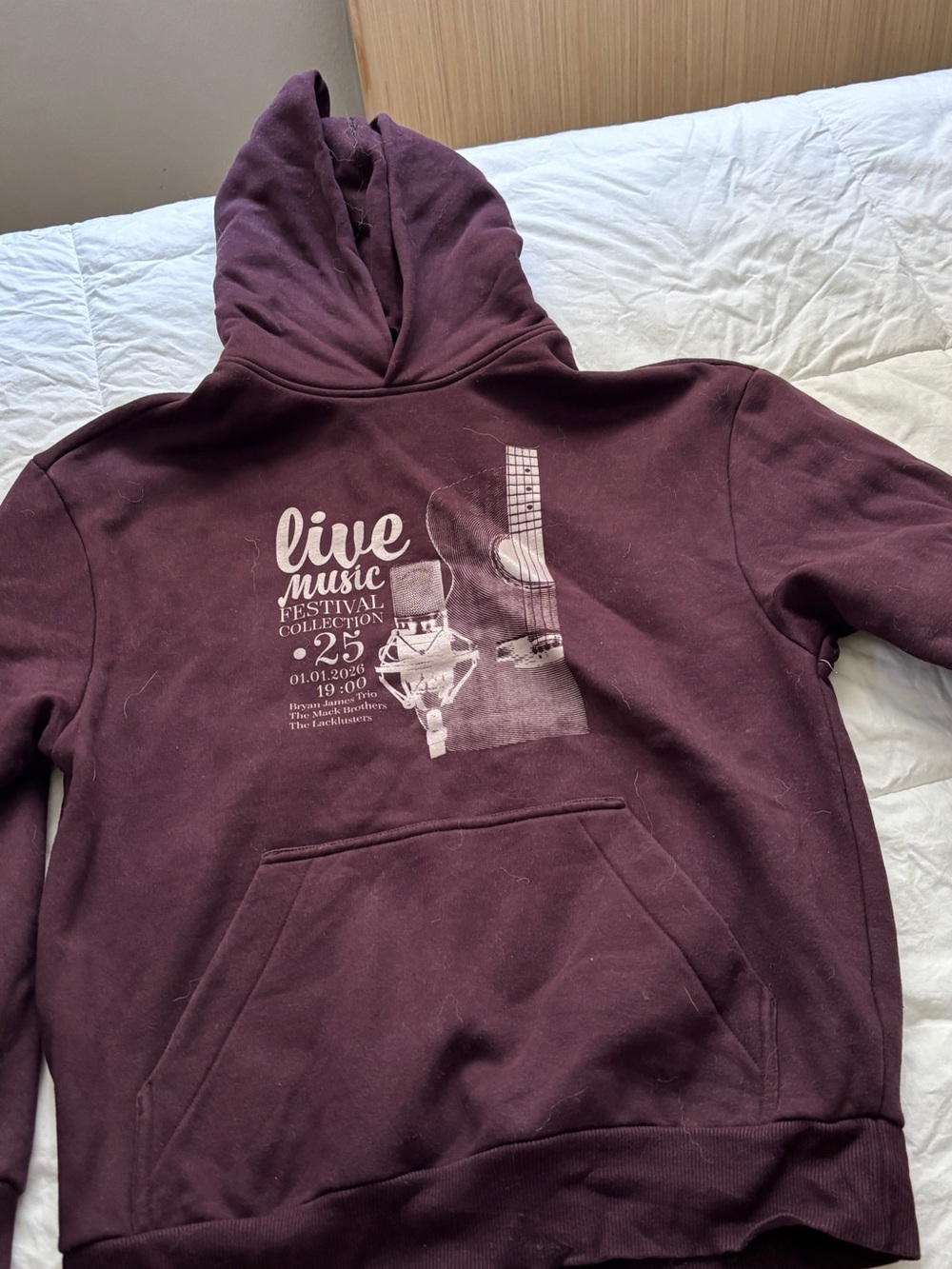 Live Music Festival Graphic Hoodie - Plum Size S